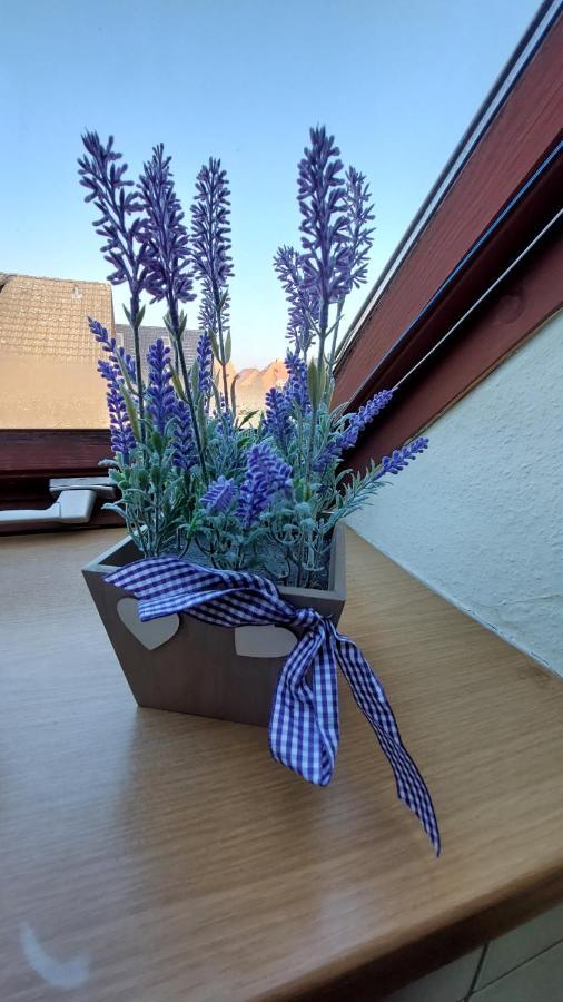Ferienwohnung Weser Минден Екстериор снимка